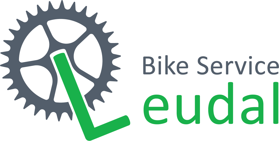 Bike Service Leudal logo